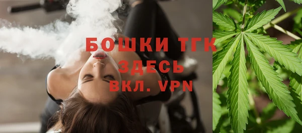 индика Аркадак