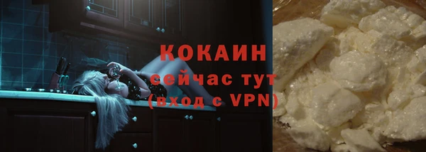 индика Аркадак