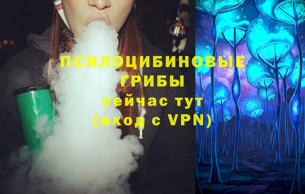 МДПВ Арсеньев