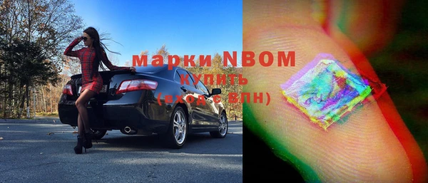 индика Аркадак